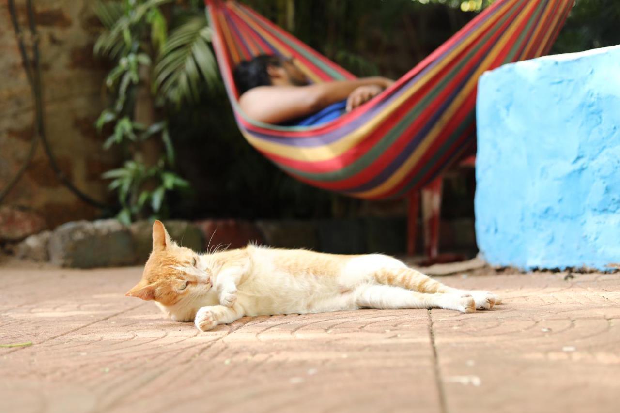 Goanvibes Hostel Анджуна Екстериор снимка